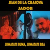 Jumatate buna, Jumatate rea (feat. Jador) - Single