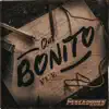 Qué Bonito Fue - Single album lyrics, reviews, download