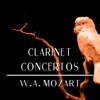 Alceste Kammerorchester - Clarinet Concerto, K. 622, (3. Rondo-Allegro)