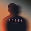 Sorry - Single