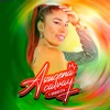 Mix Lo Siento - Single