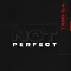 Not Perfect - Single album lyrics, reviews, download