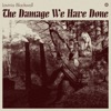 The Damage We Have Done - Single