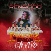 Renacido Tour 2023 (En Vivo) artwork