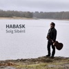 Habask, 2017