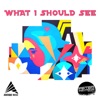 What I Should See - EP