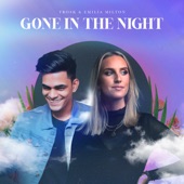 Gone in the Night artwork