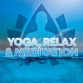 Yoga, Relax & Meditation, Pt. 6 artwork