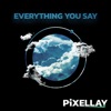 Everything You Say - Single