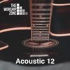 Acoustic 12