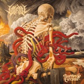 Vitriol - Shame and its Afterbirth