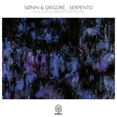 Serpento (Braxton Remix) artwork