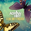 Lebe mit Freude - Single