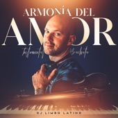 Armonía del Amor artwork