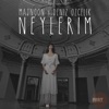 Neylerim (Serdar AYYILDIZ Remix) - Single