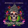 Pinche Amor - Single