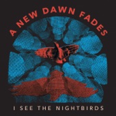 A New Dawn Fades - I See the Nightbirds