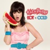Hot 'n' Cold - Single, 2008