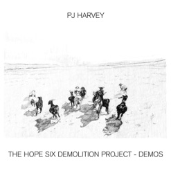 THE HOPE SIX DEMOLITION PROJECT - DEMOS cover art
