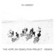 THE HOPE SIX DEMOLITION PROJECT - DEMOS cover art