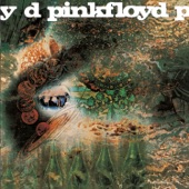 Pink Floyd - Corporal Clegg (2011 Remastered Version)