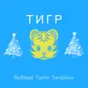 Stream & download Тигр - Single