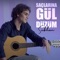 Saçlarına Gül Düzüm artwork