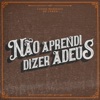 Não Aprendi Dizer Adeus - Single