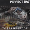 Perfect Day - Single