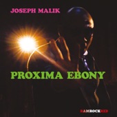 Joseph Malik  - Be A Lion