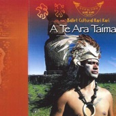 A Te Ara Taimana artwork