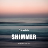Shimmer (432Hz Version) artwork