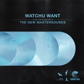 The New Mastersounds - Watchu Want
