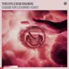 Chasing Fires (Eximinds Extended Remix) - Single album lyrics, reviews, download
