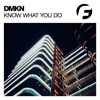 Know What You Do - Single