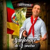 Sanfonaço de Vaneira - Single