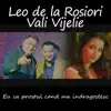 Eu ca prostul cand ma indragostesc (feat. Vali Vijelie) - Single album lyrics, reviews, download