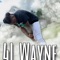 Chances (Remix) [feat. Steppa & Li Jay] - 4L Wayne lyrics