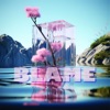 Blame - Single