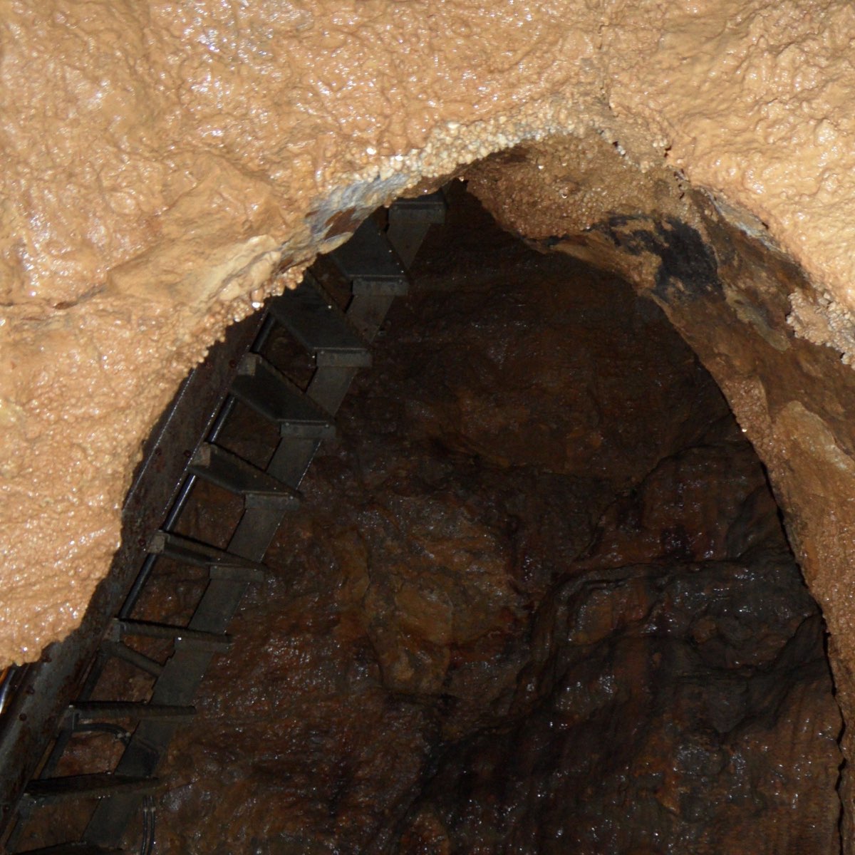 Treasure cave. Cave rose. Cave rose. Райзинг стар пещера. Лестница в пещере.