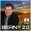 Vergiss den Sommer nicht - Single