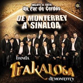 La Trakalosa de Monterrey - Borracho de Amor