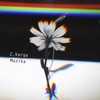 Zvonimir Varga - Dobri Stari Telefon