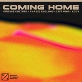 Coming Home (feat. Anabel Englund) artwork