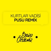 Kurtlar Vadisi Pusu (Remix) artwork