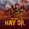 Hay Dil - Single