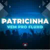 Stream & download Patricinha Vem pro Fluxo (feat. DJ DN) - Single