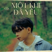 Một Khi Đã Yêu artwork