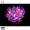 Crooked - Lotus Juice lyrics