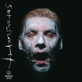 Sehnsucht (Anniversary Edition - Remastered) artwork